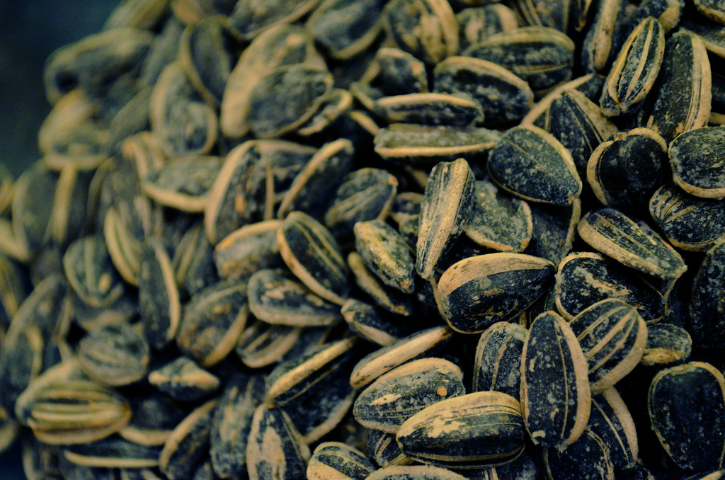 Sunflower seeds image source -- https://www.flickr.com/photos/84265036@N05/7716918466/sizes/l